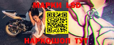 мяу мяу мука Нальчик