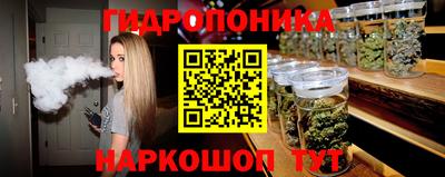мяу мяу мука Нальчик