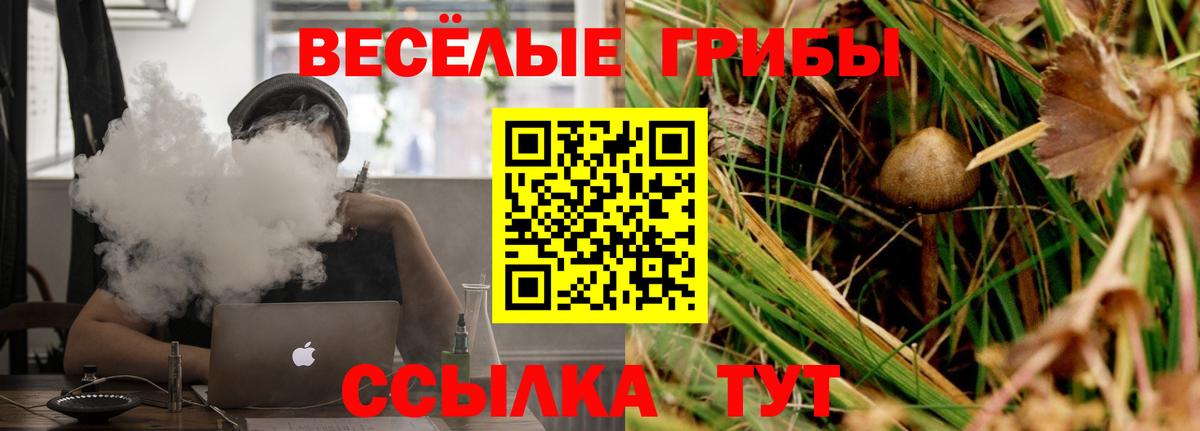 Урай  сколько стоит  Псилоцибиновые грибы Cubensis  Вход с VPN  Галлюциногенные грибы Psilocybe 