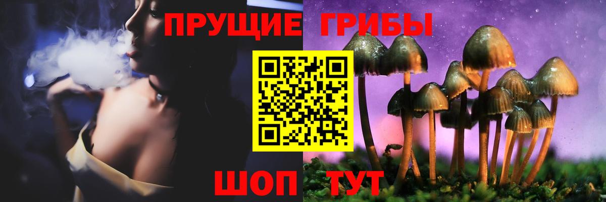 Галлюциногенные грибы Cubensis Урай
